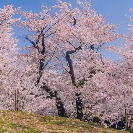 Oyo Hotel Exsaison Sugamo 도쿄 외부 사진