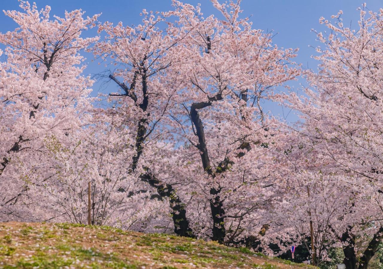 Oyo Hotel Exsaison Sugamo 도쿄 외부 사진